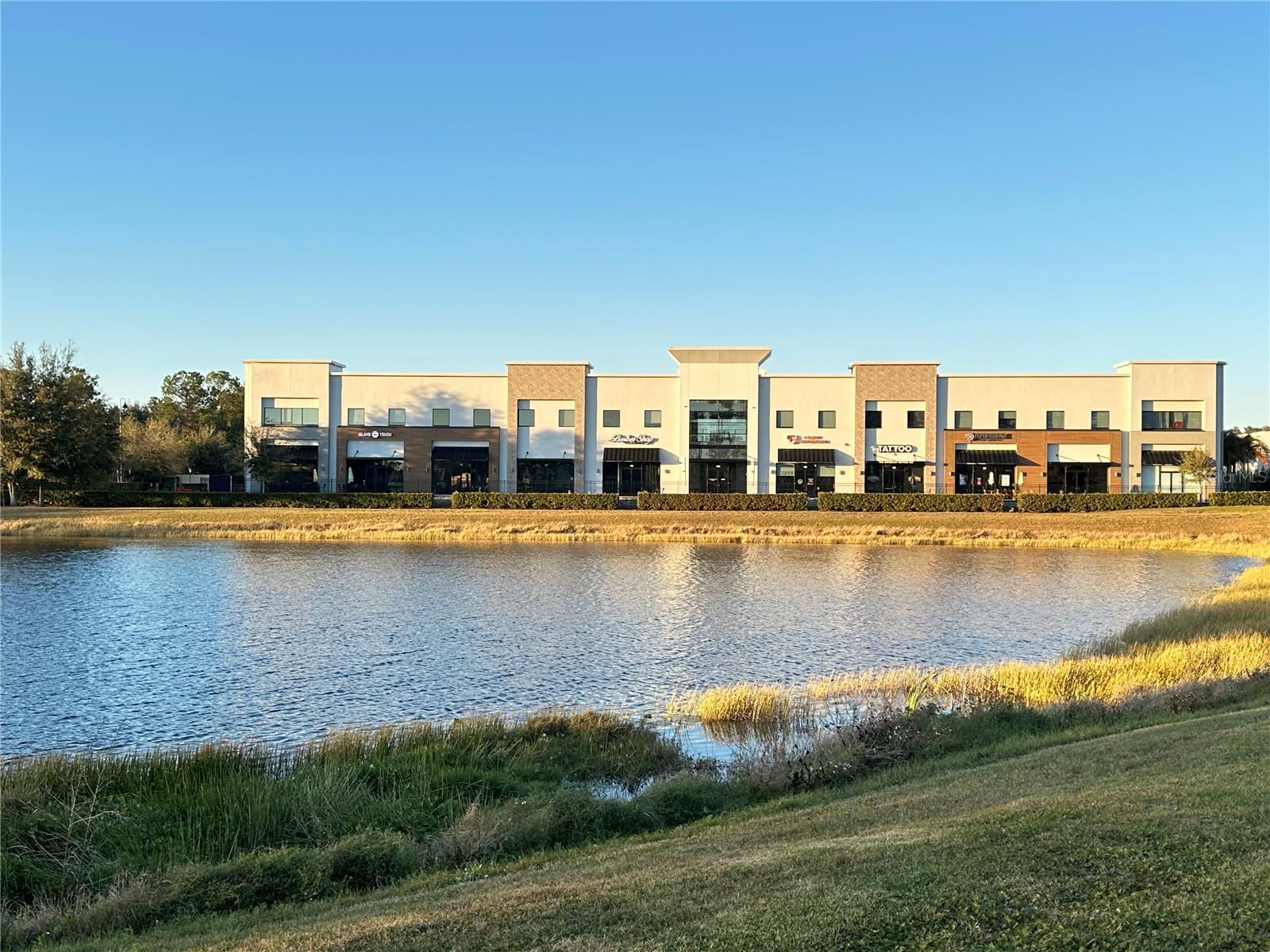 1711 AMAZING WAY 113