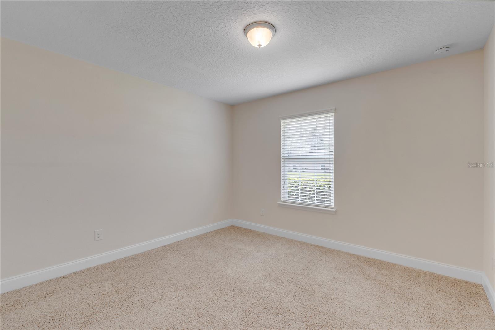 ROYAL PALMS SEC 33/PALM COAST - Residential