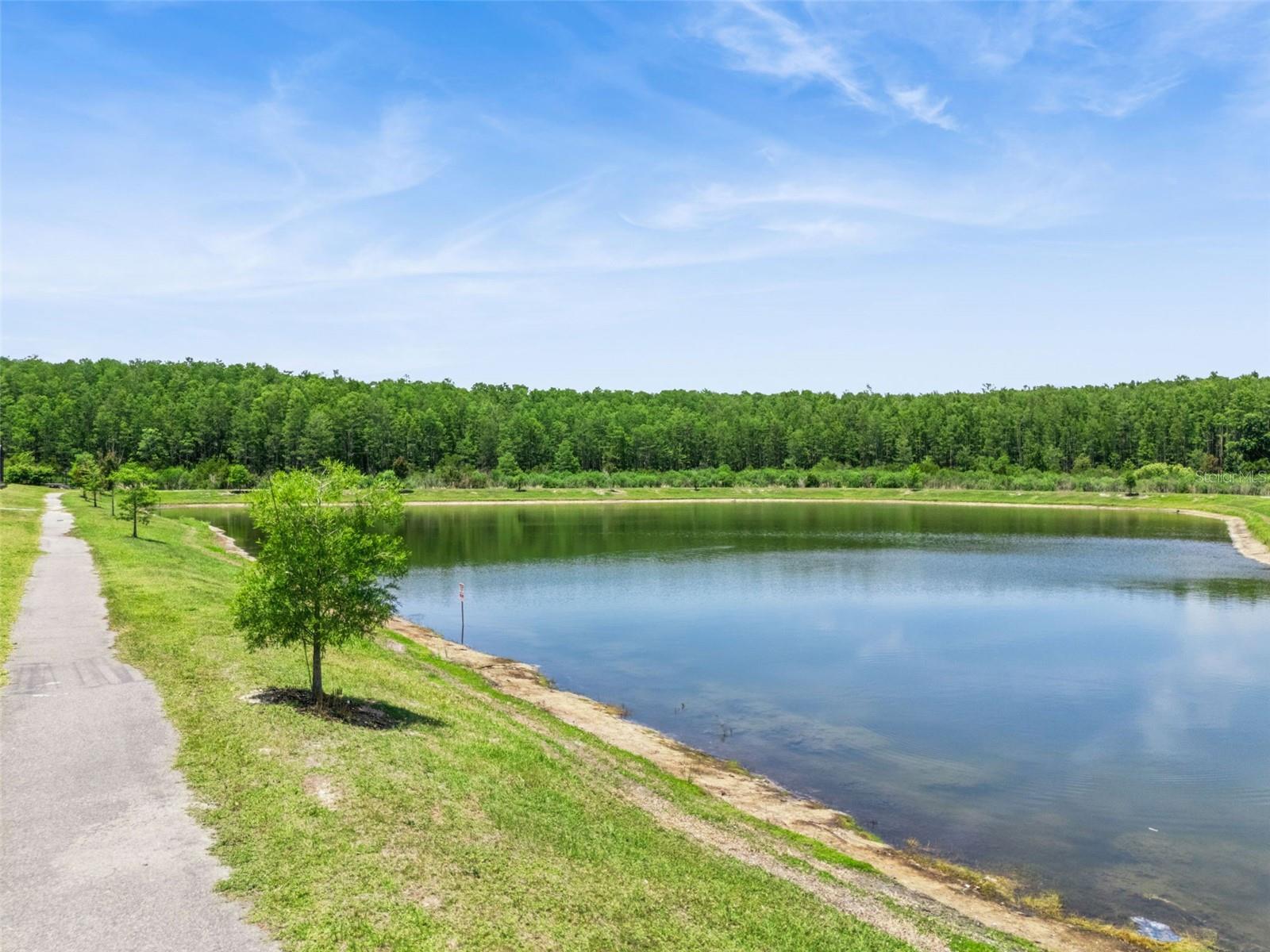COVE AT STOREY LAKE III - Residential
