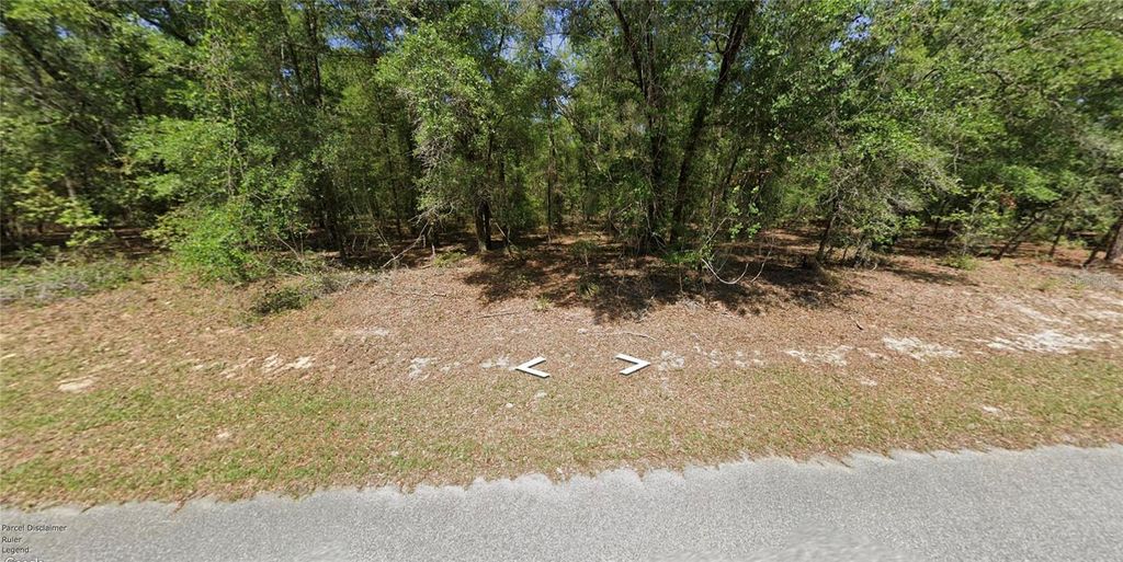 Photo of 8352 N Yellowbird Avenue, Dunnellon, FL 34434 (MLS # O6337060)