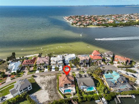 A home in APOLLO BEACH