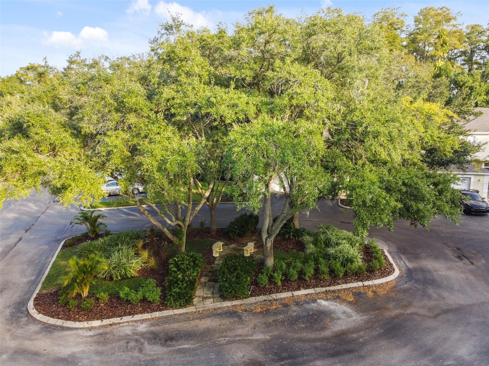 CEDAR HOLLOW CONDO TOWNH - Residential