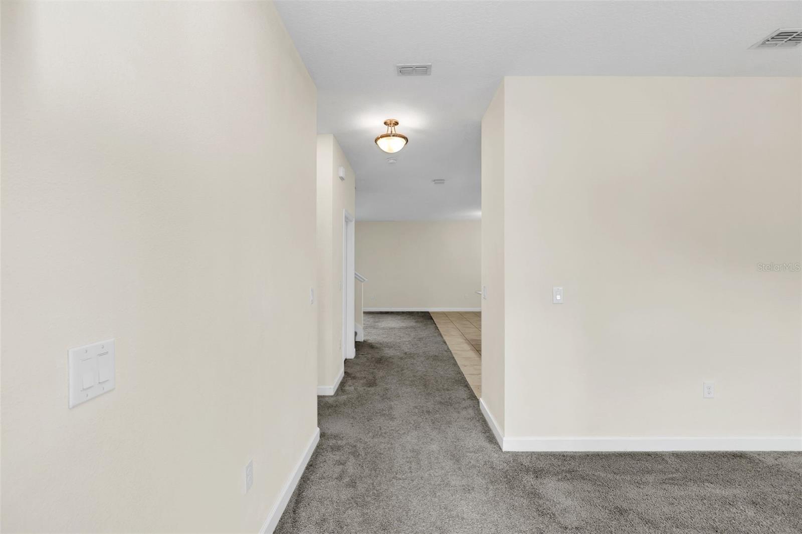 11139 CYRILLA WOODS DRIVE