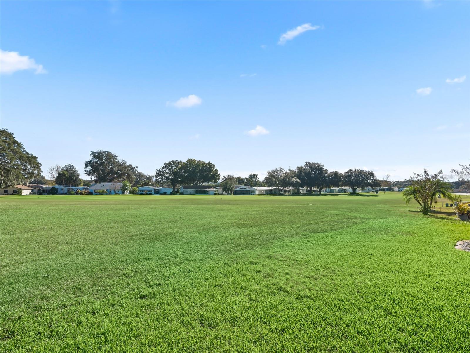 LADY LAKE ORANGE BLOSSOM GARDENS UNIT 10 - Residential