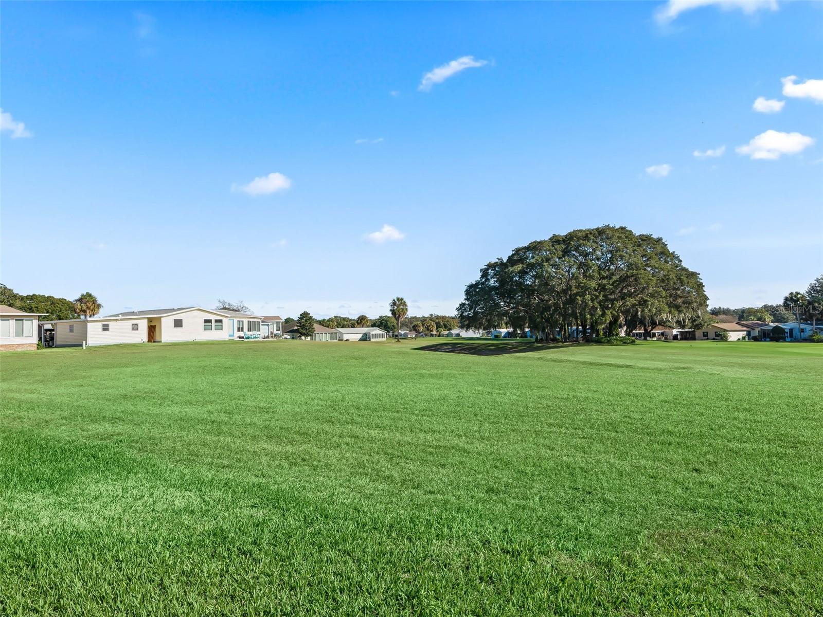 LADY LAKE ORANGE BLOSSOM GARDENS UNIT 10 - Residential