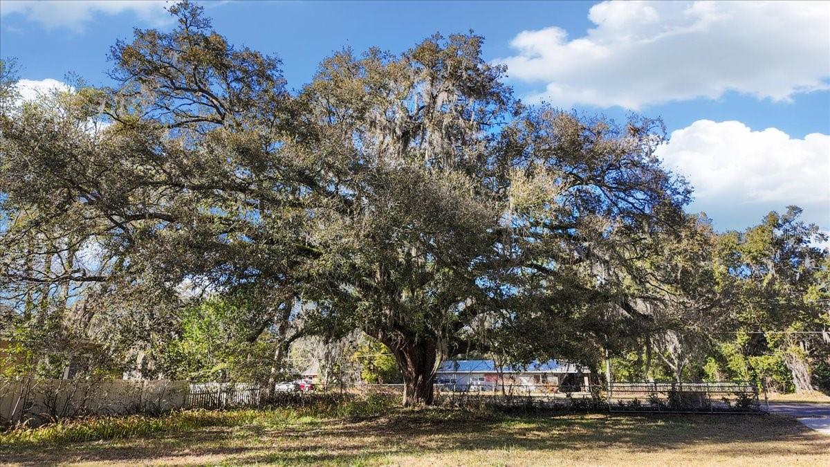 1621 E UNIVERSITY AVENUE