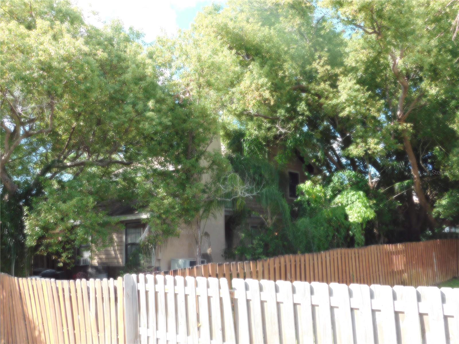 SPRING LAKE OF CLEARWATER - Residential