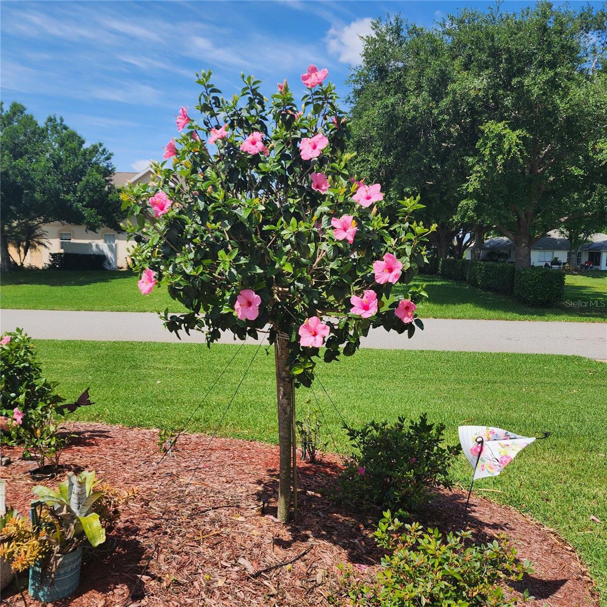 MEADOWLAKE SUB - Residential