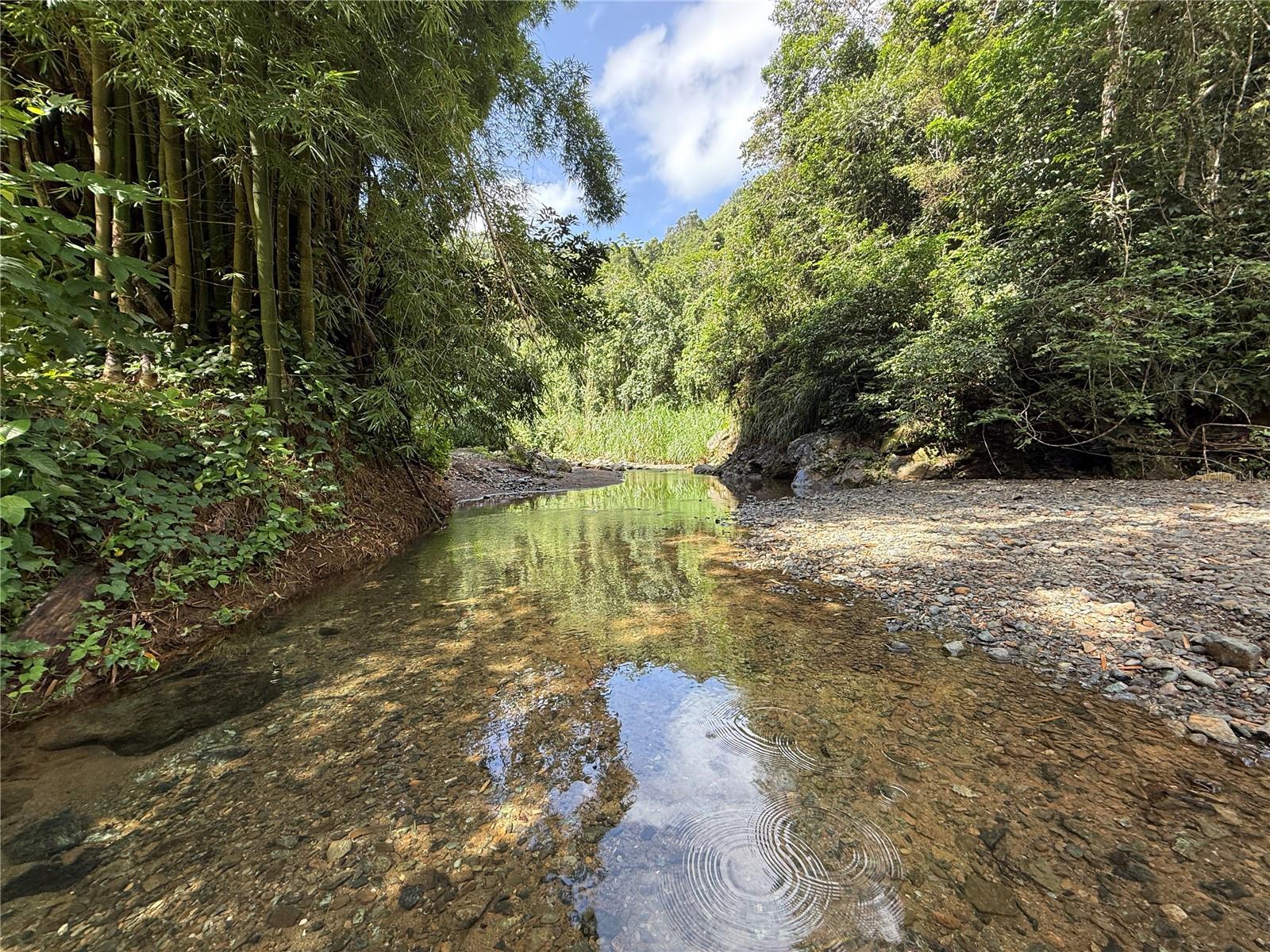 BARRIO BOQUERON PLAYAS DEL CARIBE RESORT - Residential