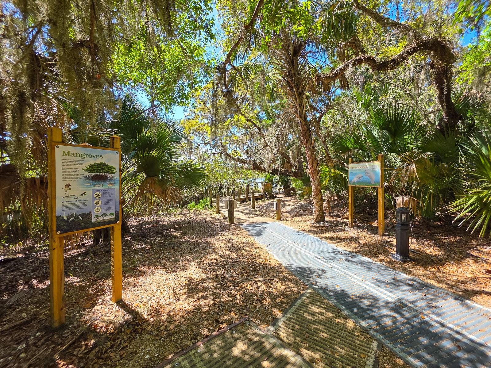 SURF CLUB CONDO 03 - Residential