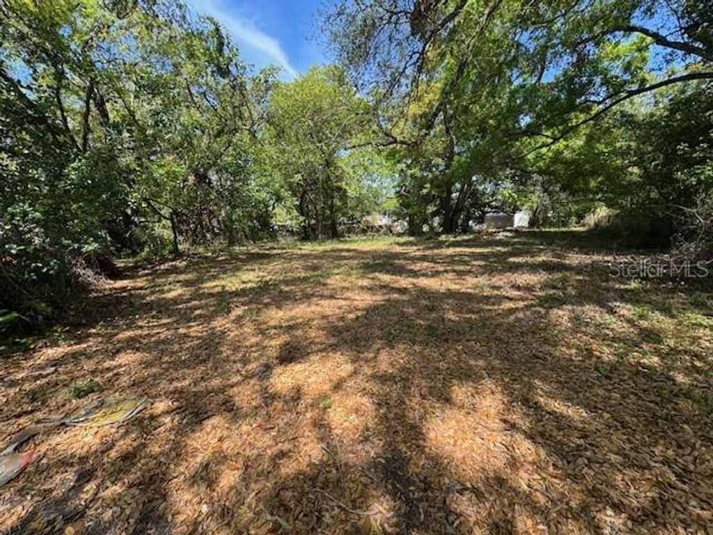 Photo of 1408 E Dr Martin Luther King Jr Boulevard, Tampa, FL 33603 (MLS # TB8417568)