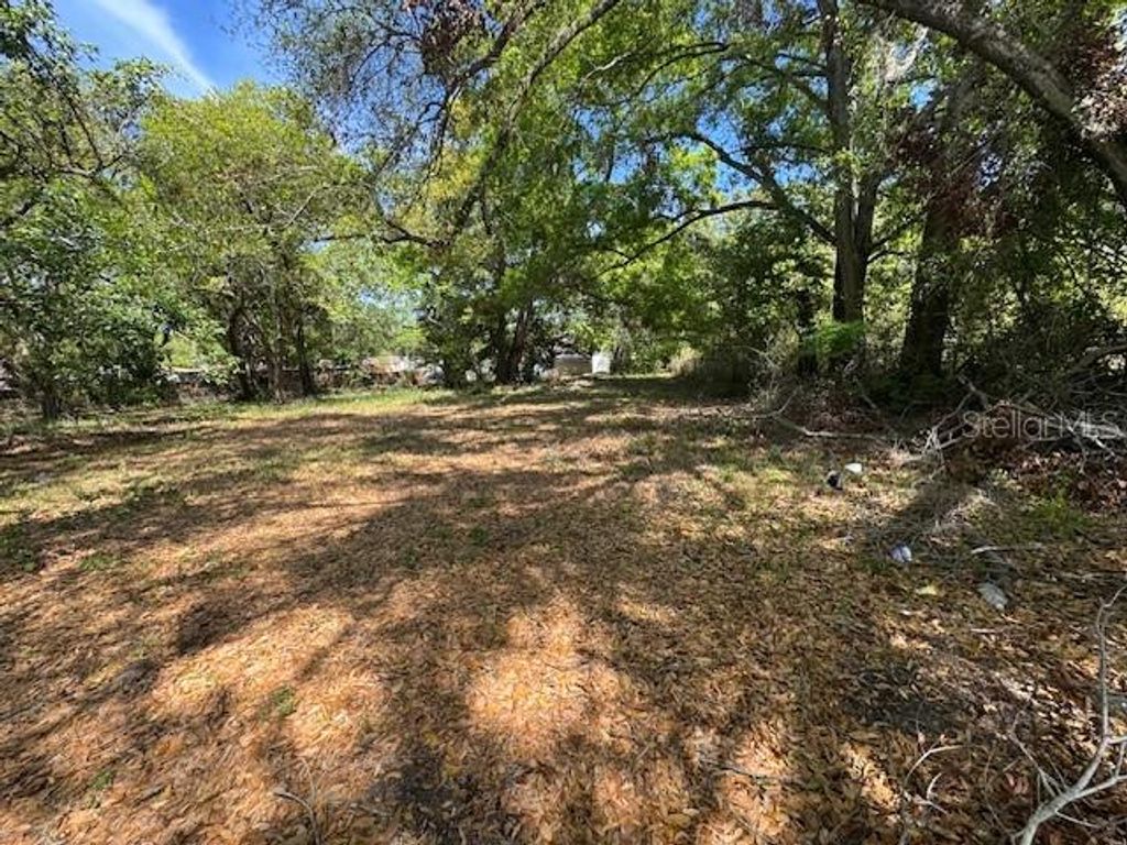 Photo of 1408 E Dr Martin Luther King Jr Boulevard, Tampa, FL 33603 (MLS # TB8417568)