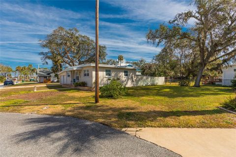 A home in DAYTONA BEACH