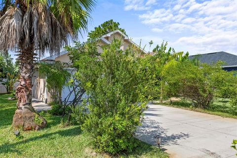 A home in PALM COAST