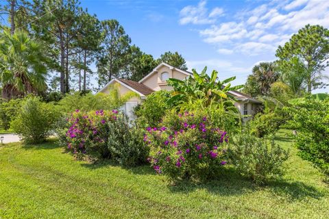 A home in PALM COAST