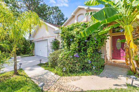 A home in PALM COAST