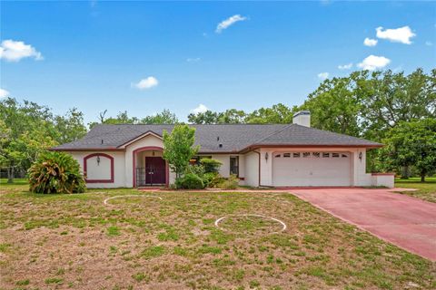 128 OAK LAKE DRIVE SPRING HILL FL 34608