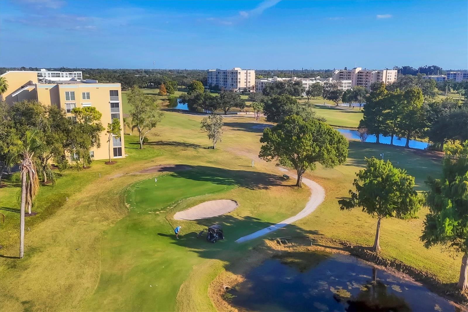 THE WOODS AT PINEBROOK - Residential