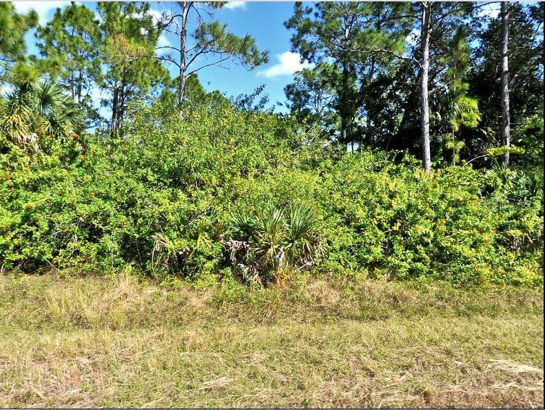 PORT CHARLOTTE SUB 46 - Land