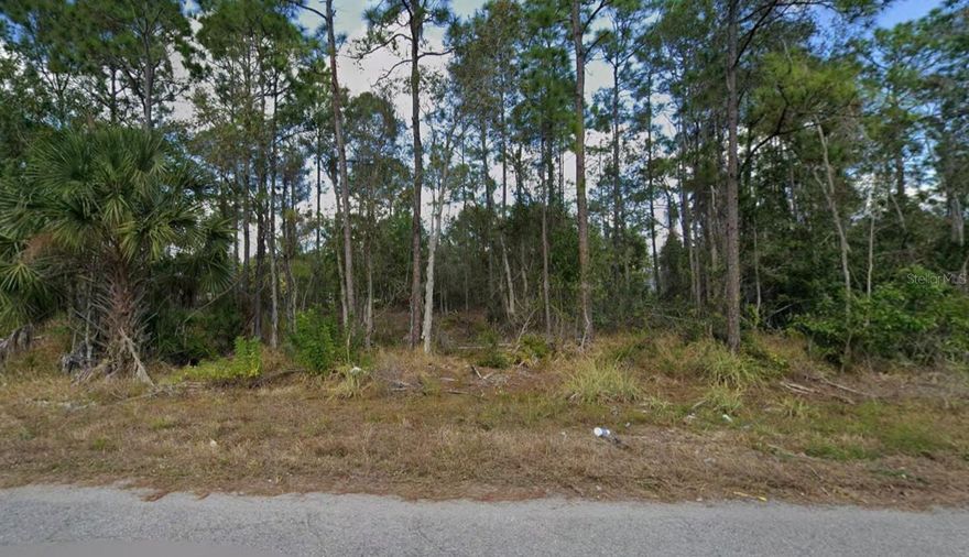 Oversized 0.40-acre vacant lot in Lehigh Acres, offering more space than the typical quarter-acre parcel. This property provides a strong opportunity for a custom single-family home or long-term land investment in an area with continued residential growth. Located near Jaguar Blvd and local conveniences, with access to shopping, schools, dining, and major routes into Fort Myers. Buyer to verify zoning, utility availability, and building requirements with Lee County.