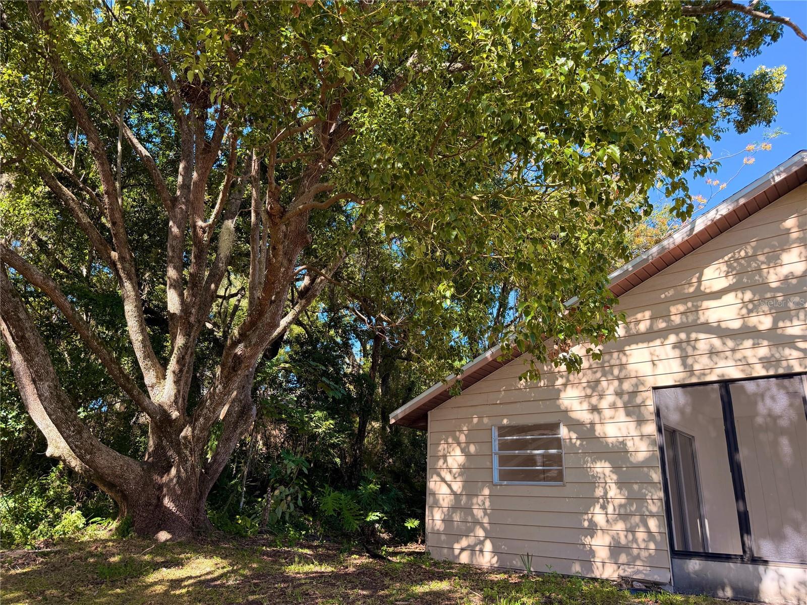 LEESBURG THE FERNERY SUB - Residential