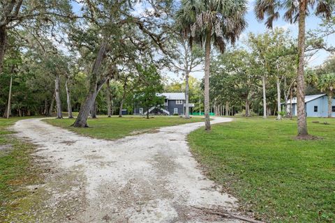 Tiny photo for 11311 NE 40th Street Road, Silver Springs, FL 34488 (MLS # TB8456289)