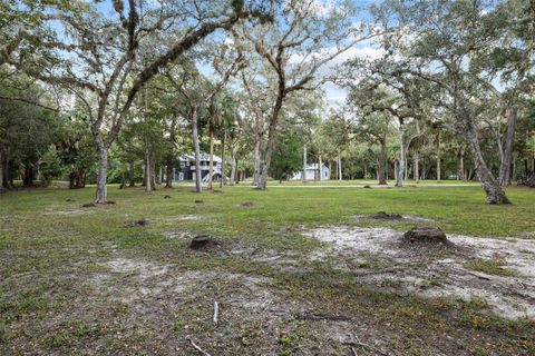 Tiny photo for 11311 NE 40th Street Road, Silver Springs, FL 34488 (MLS # TB8456289)