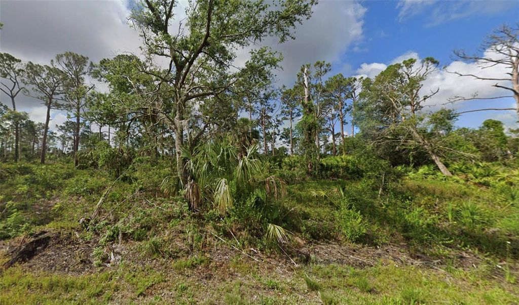Photo of 15469 Oasis Avenue, Port Charlotte, FL 33953 (MLS # D6146932)