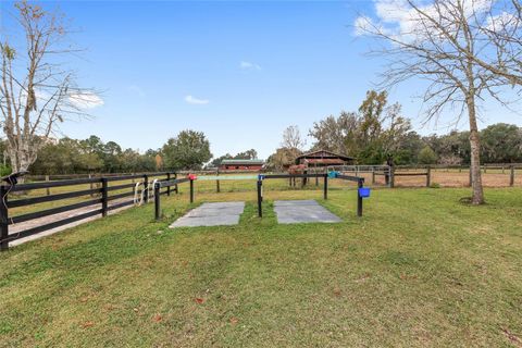 Tiny photo for 16254 NW 165th Street, Williston, FL 32696 (MLS # OM715439)