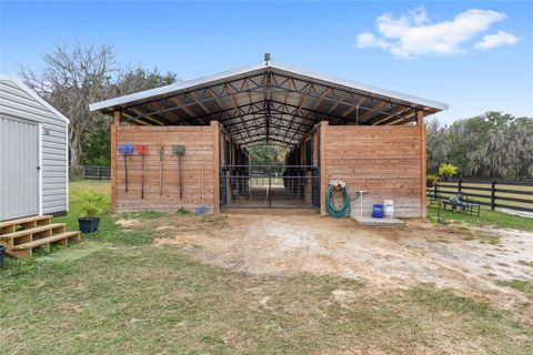 Tiny photo for 16254 NW 165th Street, Williston, FL 32696 (MLS # OM715439)