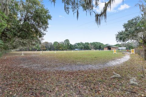 Tiny photo for 16254 NW 165th Street, Williston, FL 32696 (MLS # OM715439)