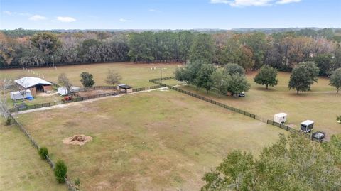 Tiny photo for 16254 NW 165th Street, Williston, FL 32696 (MLS # OM715439)