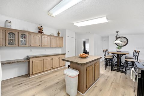 Tiny photo for 16254 NW 165th Street, Williston, FL 32696 (MLS # OM715439)