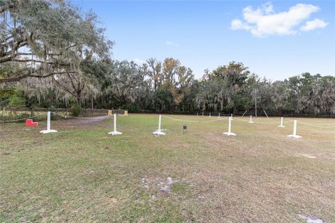Tiny photo for 16254 NW 165th Street, Williston, FL 32696 (MLS # OM715439)
