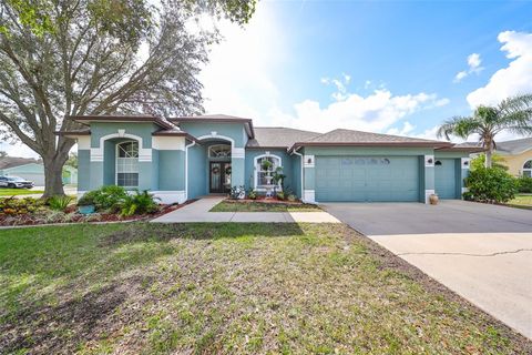 A home in RIVERVIEW