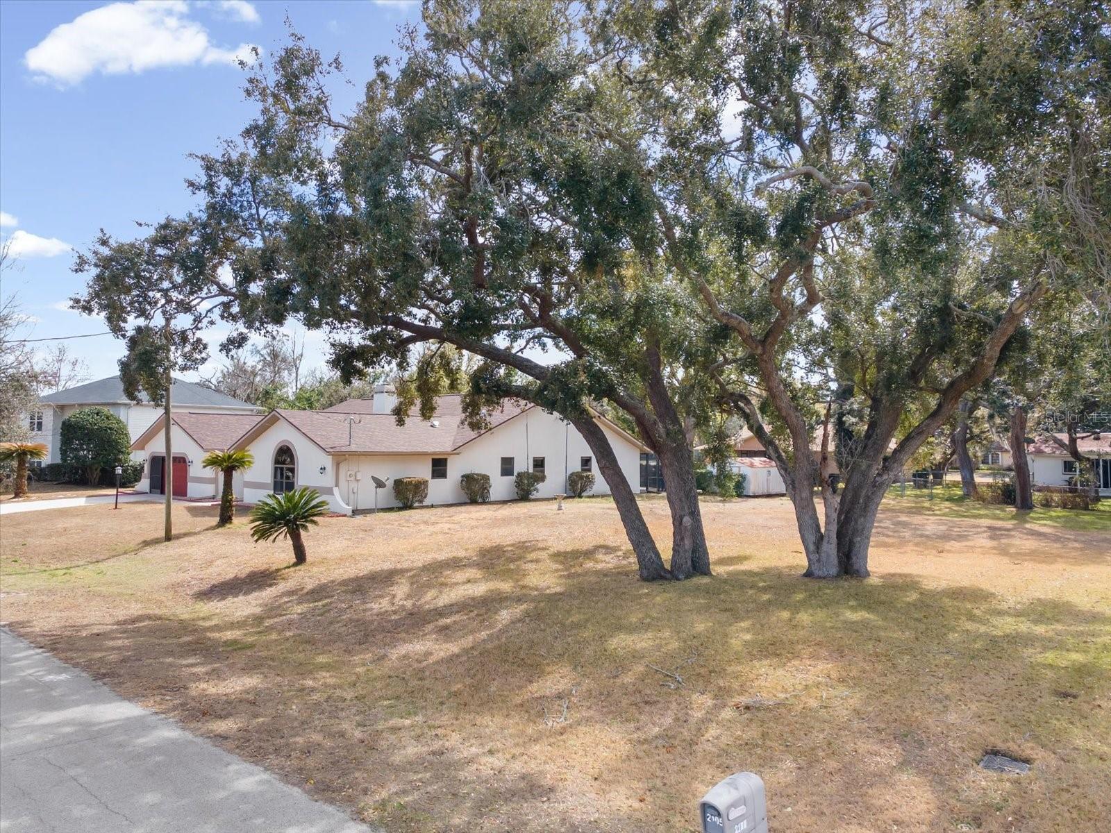 SPRING HILL - Residential