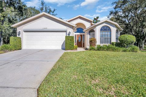 A home in SPRING HILL