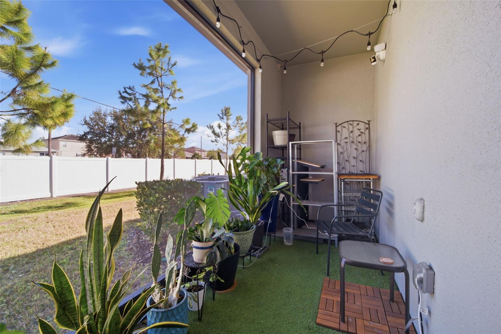 4459 GLOBE THISTLE DRIVE