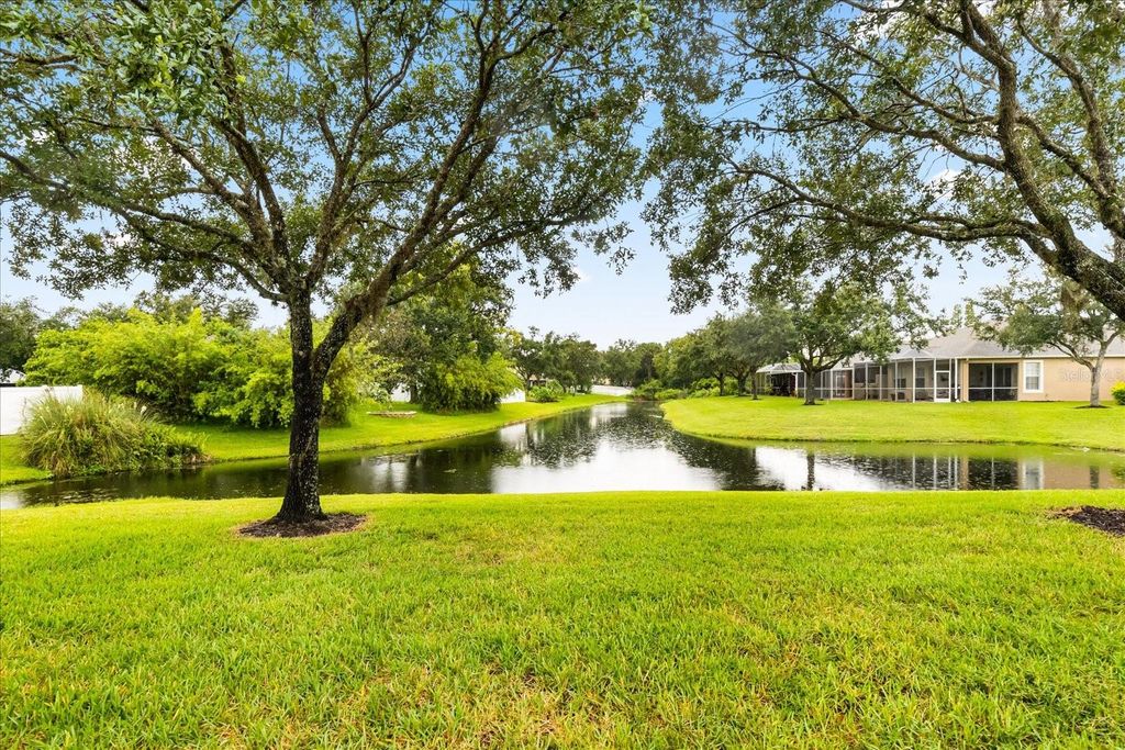 Photo of 19128 Lake Audubon Drive, Tampa, FL 33647 (MLS # TB8418691)