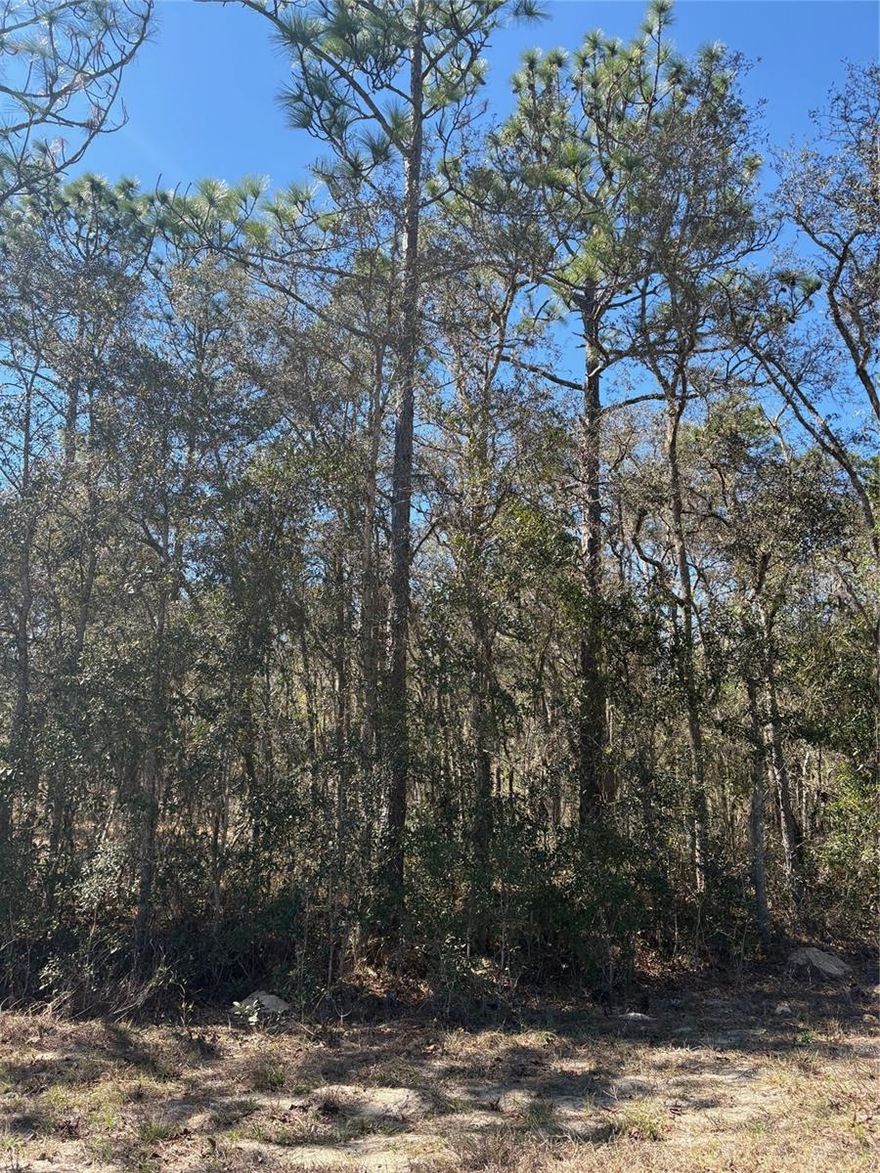 Looking for that perfect acre to build your dream home....this is it!  The simple life is calling this lot is located in Rainbow Lakes Estates.  Your close to Rainbow River, restaurants and shopping.