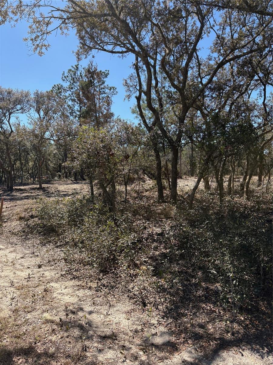 RAINBOW LAKES ESTATE - Land