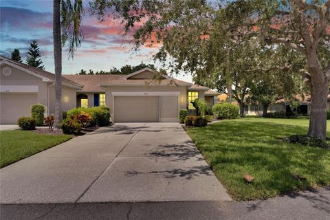 1015 RADISON LAKE COURT 65 SUN CITY CENTER FL 33573