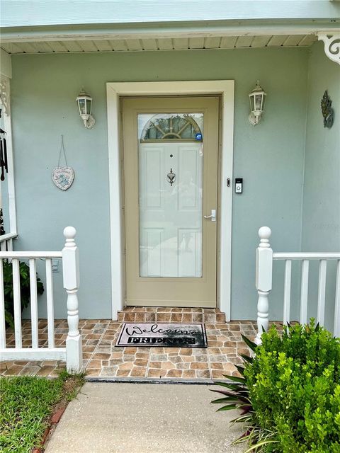 A home in MOUNT DORA