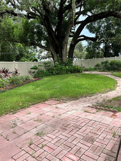 A home in MOUNT DORA