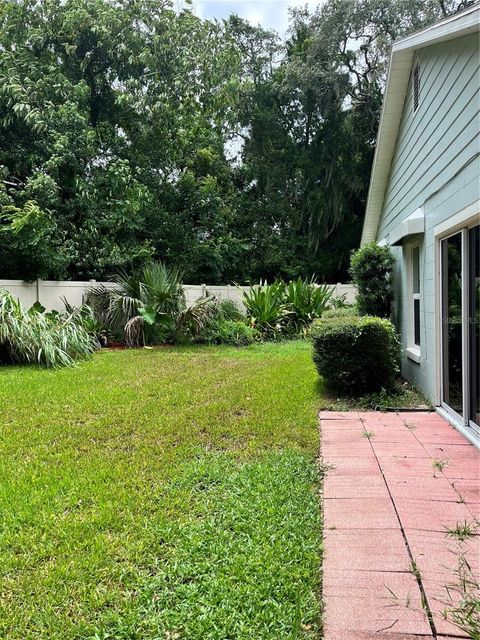 A home in MOUNT DORA