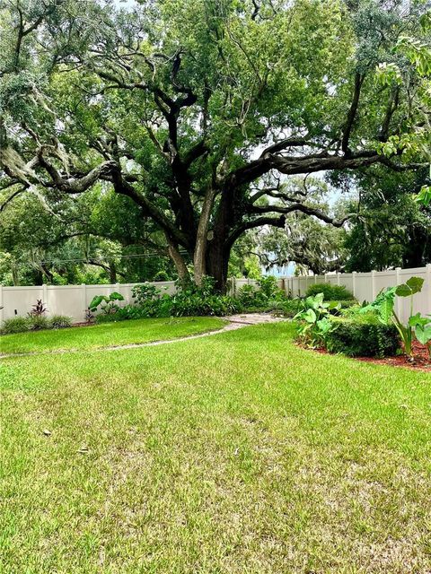 A home in MOUNT DORA