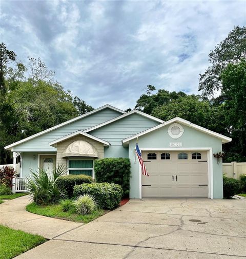 A home in MOUNT DORA