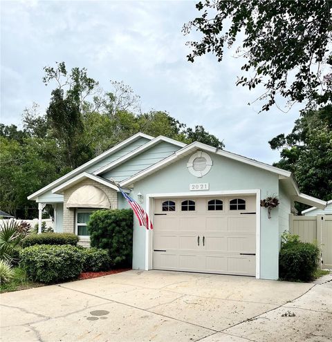 A home in MOUNT DORA