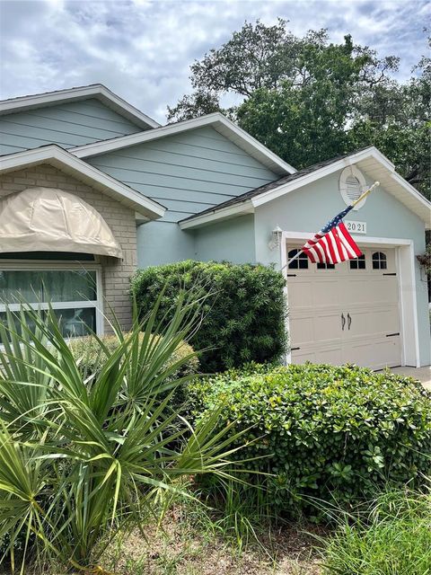 A home in MOUNT DORA