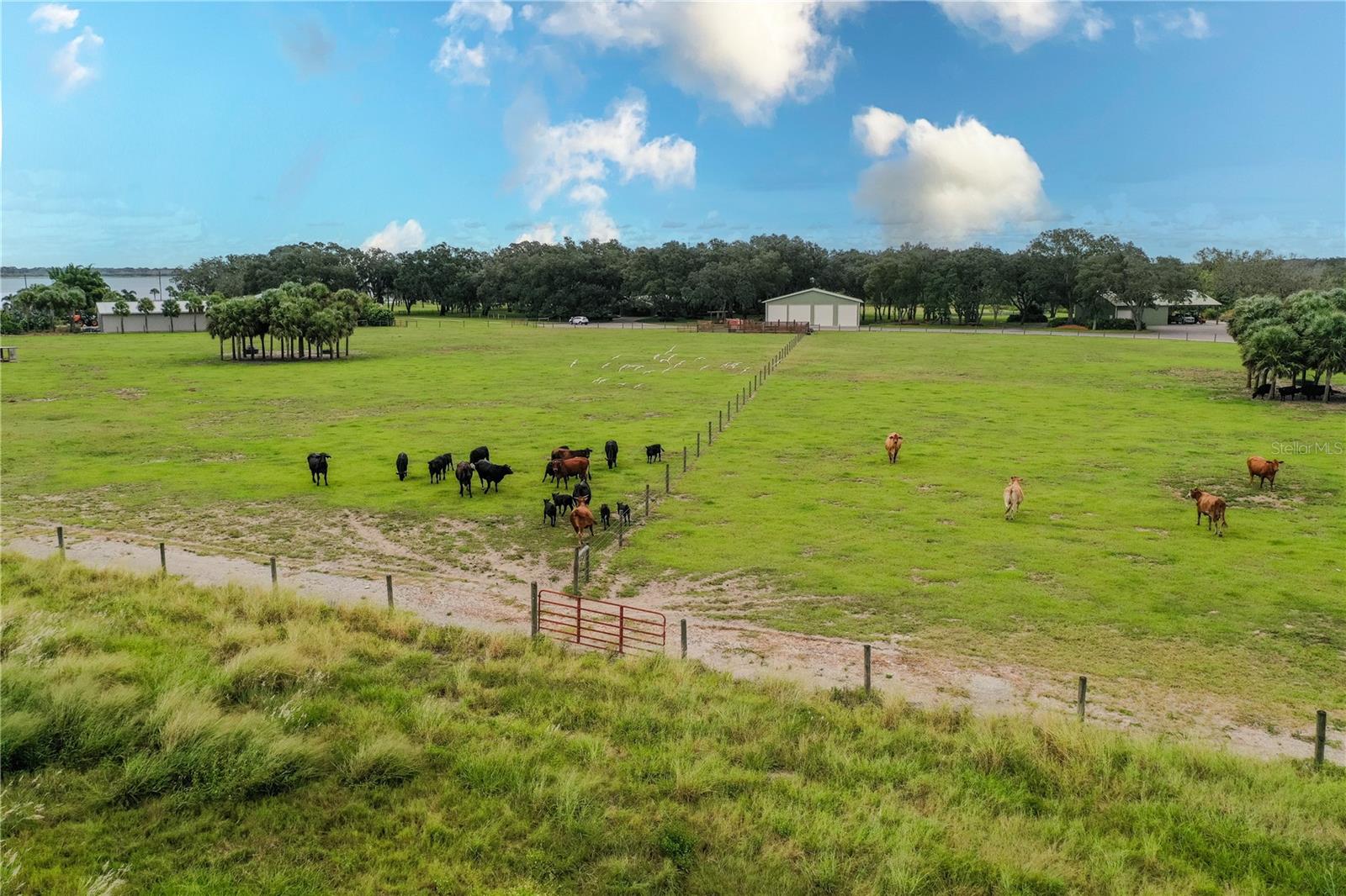 NOT IN SUBDIVISION - Residential